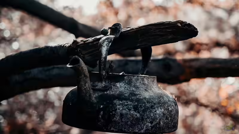 Wabi-Sabi - Die Schönheit des Unvollkommenen in Natur und Leben