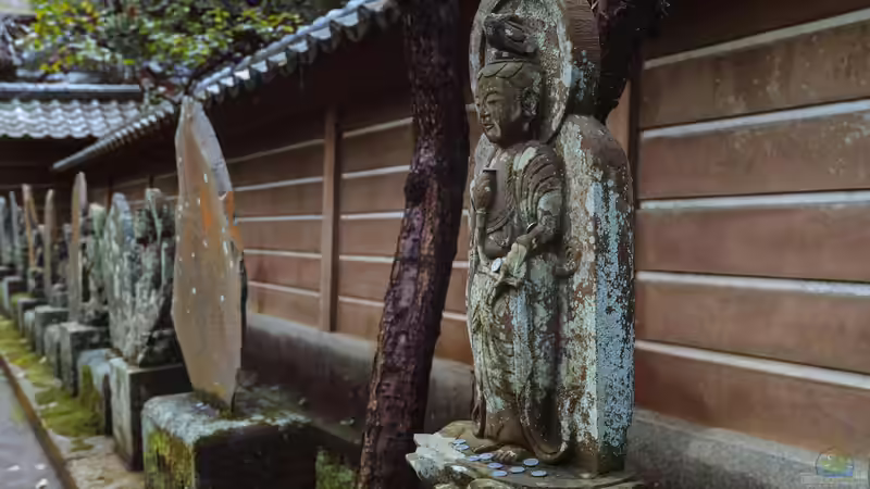 Wabi-Sabi - Die Schönheit des Unvollkommenen in Natur und Leben