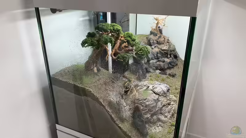 Wachstumsphase - 2 von Dominic (18)