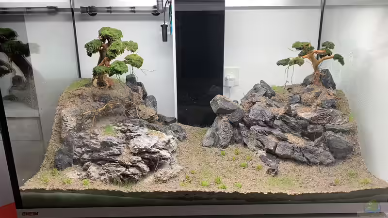 Wachstumsphase - 3 von Dominic (19)