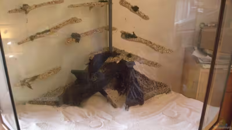 während der Einrichtung (im Hintergrund sind die Terrassen) von M to the ilan (30)