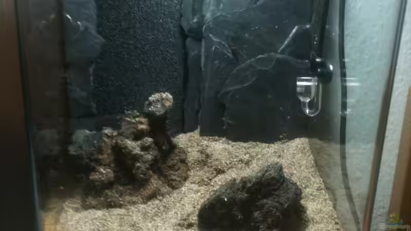 während des Einrichtens von M to the ilan (35)