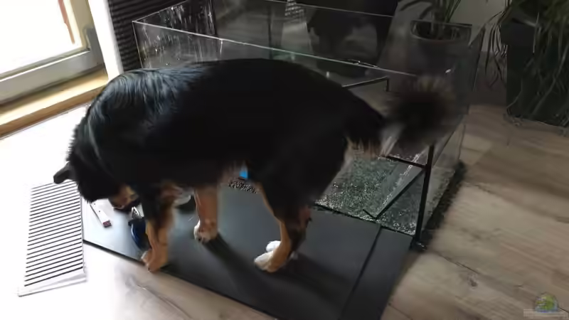 Während des Umbaus mit Hilfe ;) von stroelly (2)