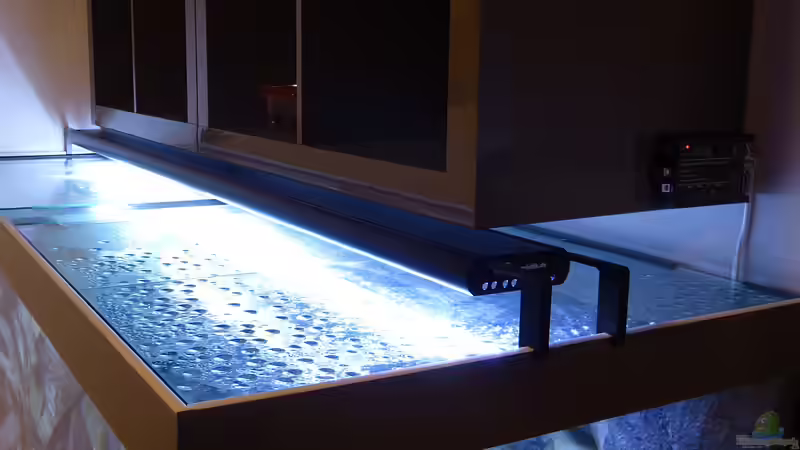 Wärmerückgewinnung bei modernen LED-Lampen im Aquarium