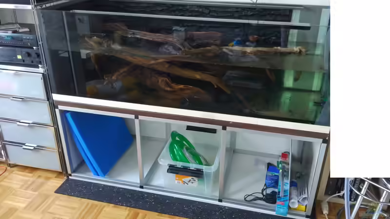 Wässern über mehrere Wochen mit gelegentlichem Wasserwechsel von Tiburón (38)