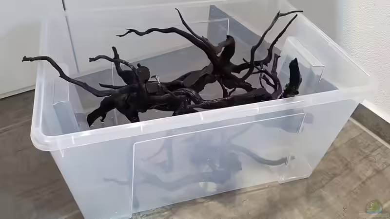 Waitomo Wood von YoshiMaus (23)