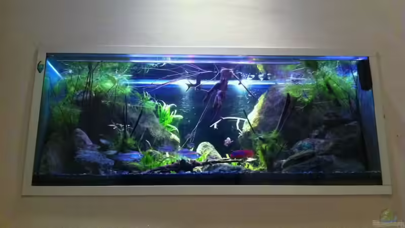 Wandeinbau von Chris_R. (25)