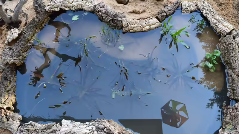 Wann erwacht der Teich aus dem Winterschlaf?