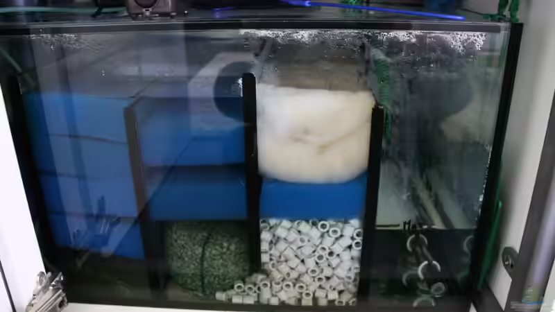 Wann ist der Aquariumfilter eingelaufen?