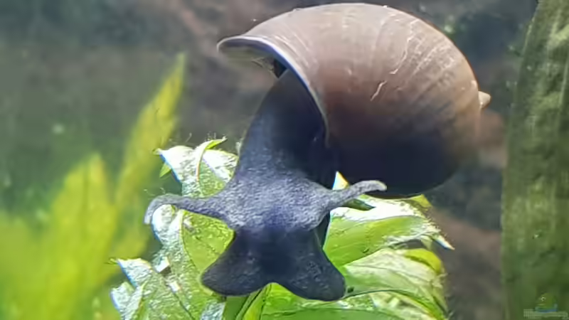 War mal auf Besuch  von Manuela&Mike (26)