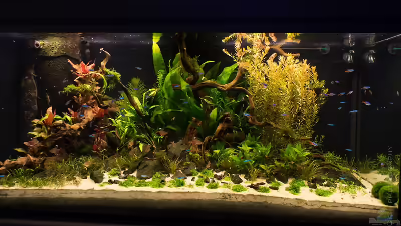 Warm weiss von Betta Chris (108)