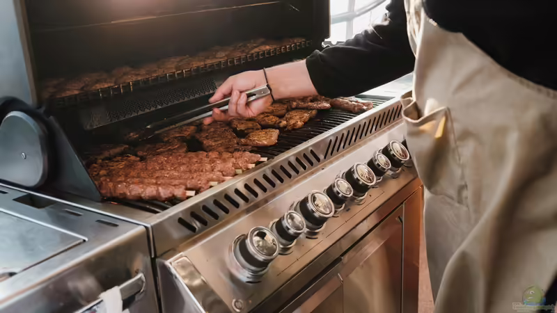 Warum ein Gasgrill unter 1000 Euro die beste Wahl für viele Grillfans ist