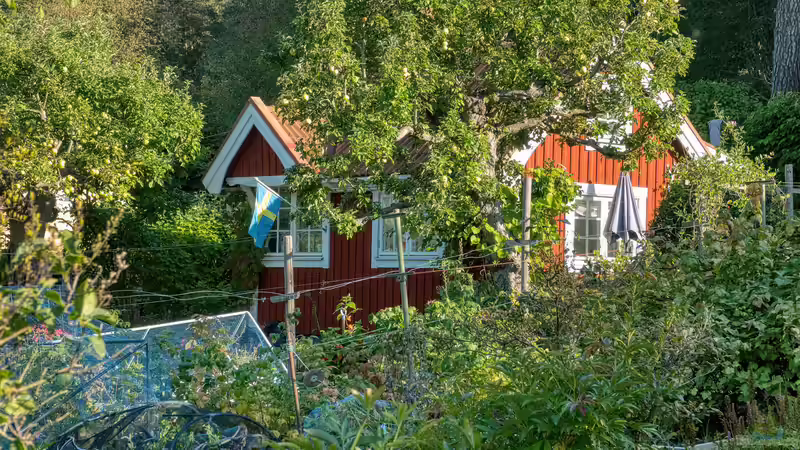 Warum finden immer mehr Menschen Gefallen am Trend ´Naturgarten´?