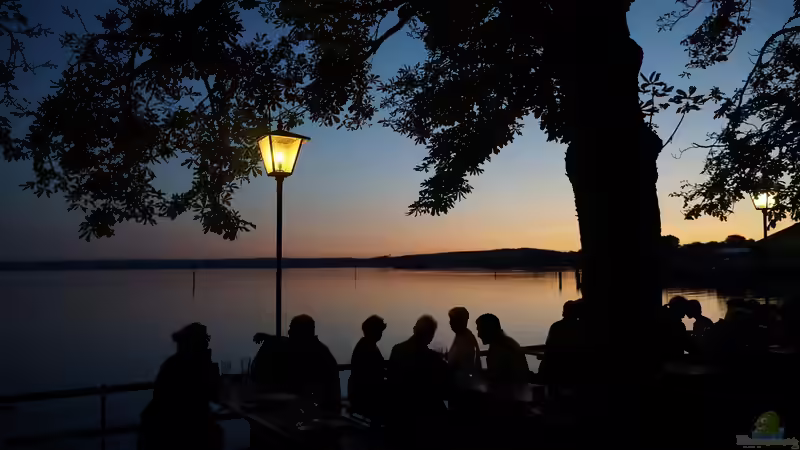 Warum Kastanienbäume im bayrischen Biergarten? - Geschichte, Kultur und Bedeutung