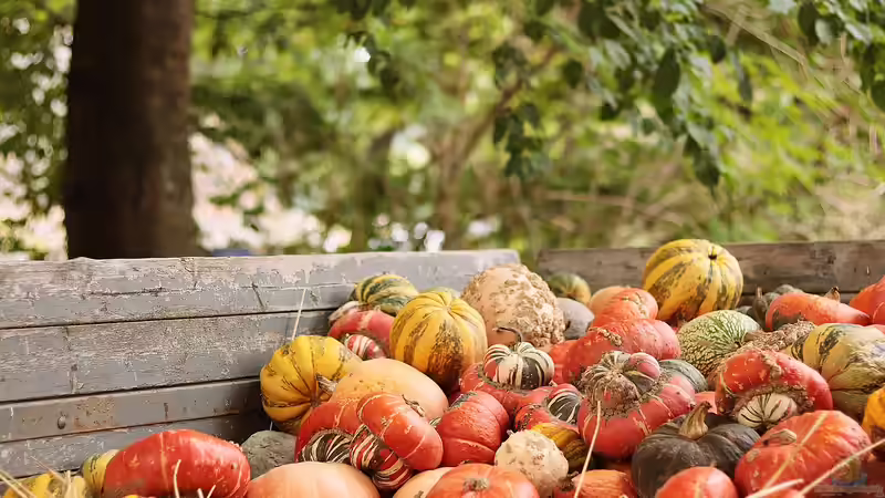 Warum wir uns im Herbst so müde fühlen