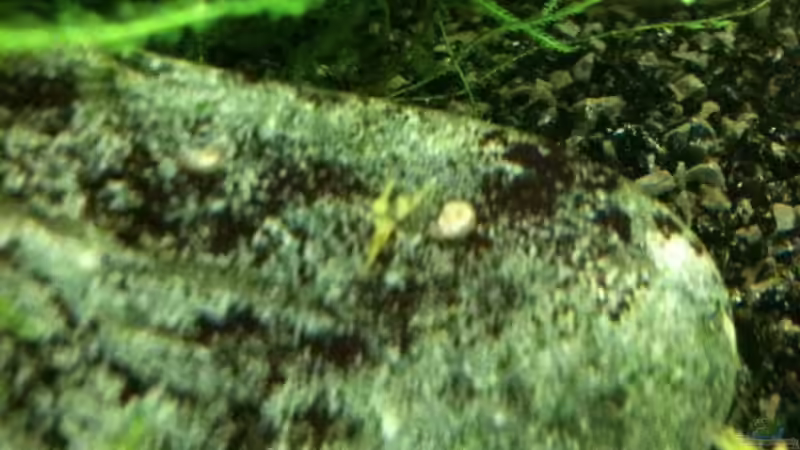 was die 3 da wohl besprechen? von Paul123 (18)