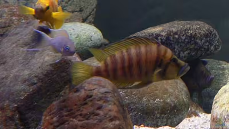 Was geht ab ! von Oliver Vieth (8)