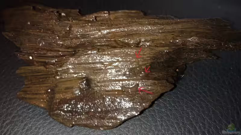 Was ist das den ? von Koehler (35)