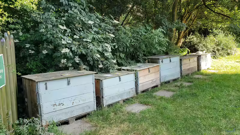Was ist der richtige Komposter? Der umfassende Leitfaden für einen gesunden Gartenboden