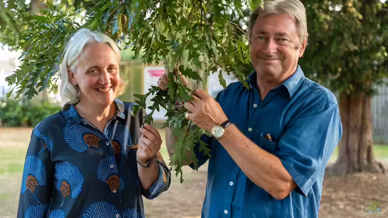 Was können Hobbygärtner von Alan Titchmarsh lernen?