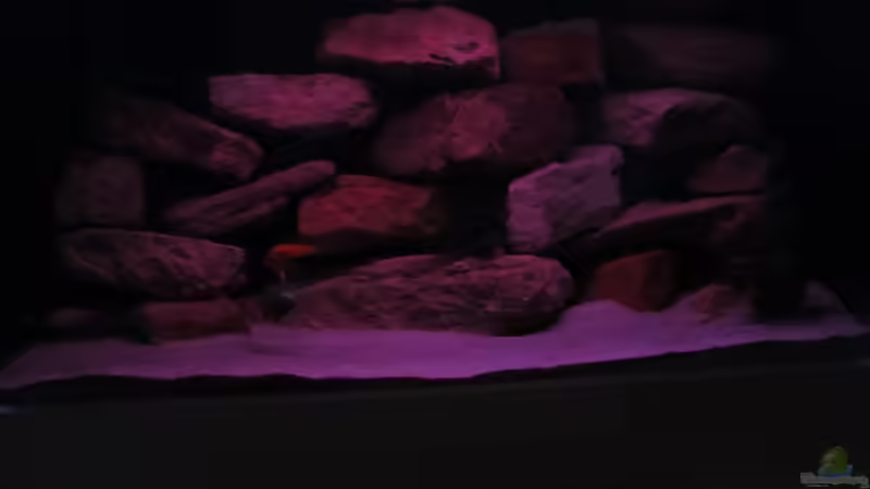 Was machen die beiden denn da im Morgengrauen? von aquamika (21)