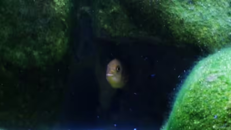 Was macht denn der da mit der Kamera? ;-) von jankov (17)