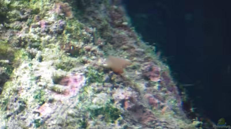 Was noch unbekanntes von Peter Tippmar (30)