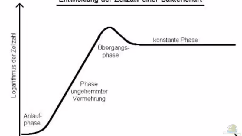 Was passiert im zugeschlammten Filter wirklich?Ganz Wichtiger Beitrag für Anfänger!
