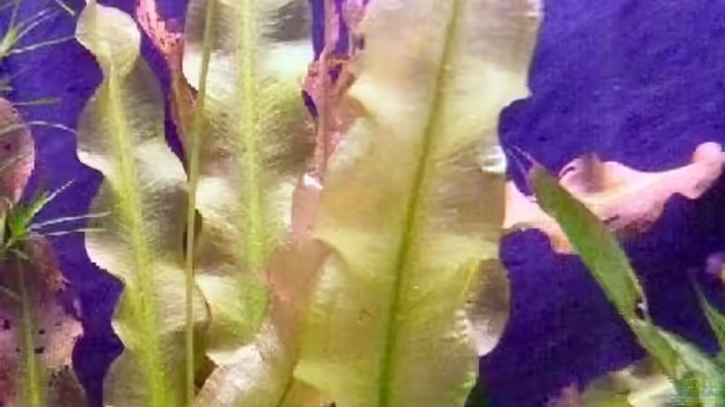 Wasn Das?? :-D von Claas Harmsen (5)