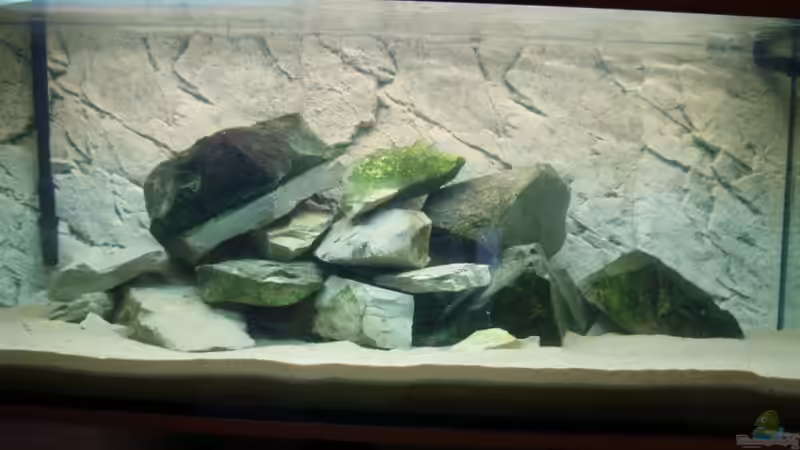 Wasser + mehr Steine, aber noch ohne Feinschliff von Tom (2)