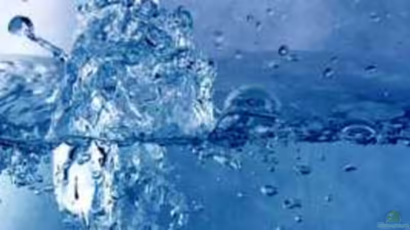 Wasser?!?  Chemie oder doch Biologie