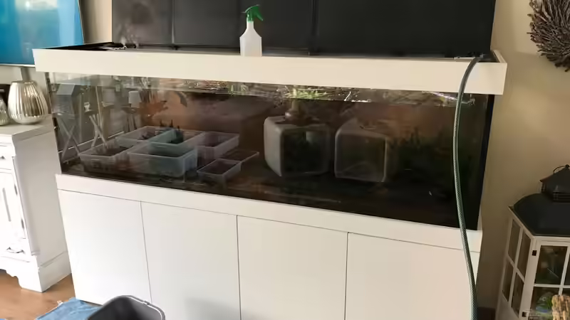 Wasser ablassen von Der Nicky (18)