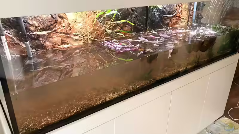 Wasser ablassen von Der Nicky (19)