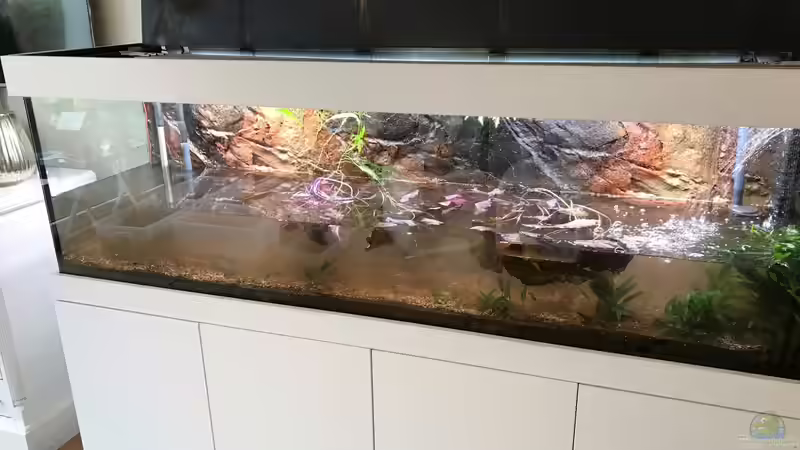 Wasser ablassen von Der Nicky (20)