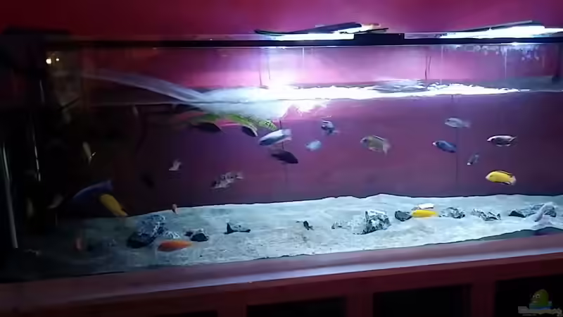 Wasser ablassen von Frank Hopp (33)