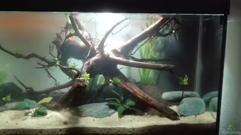 Wasser Befüllung von seb (16)