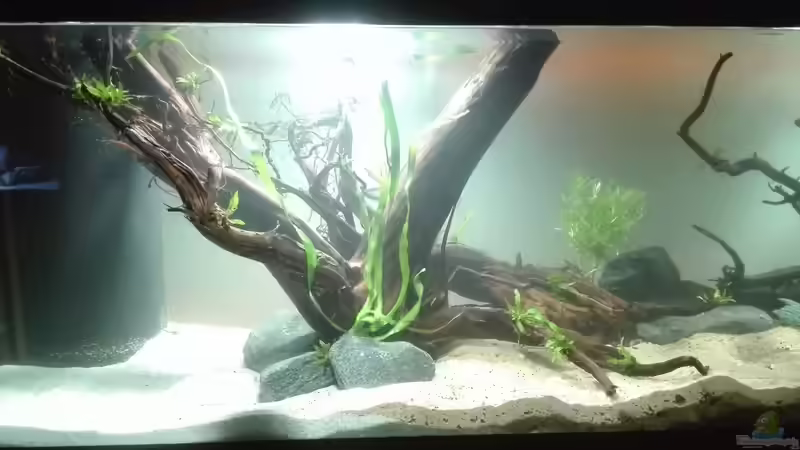 Wasser Befüllung von seb (17)