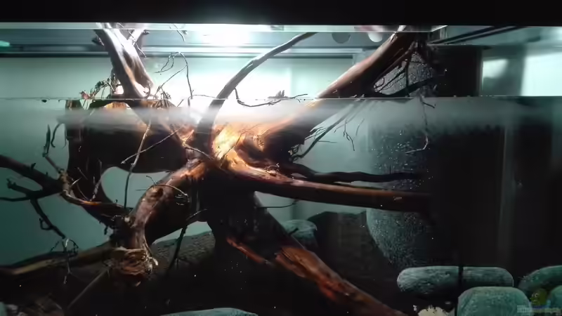 Wasser Befüllung von seb (18)