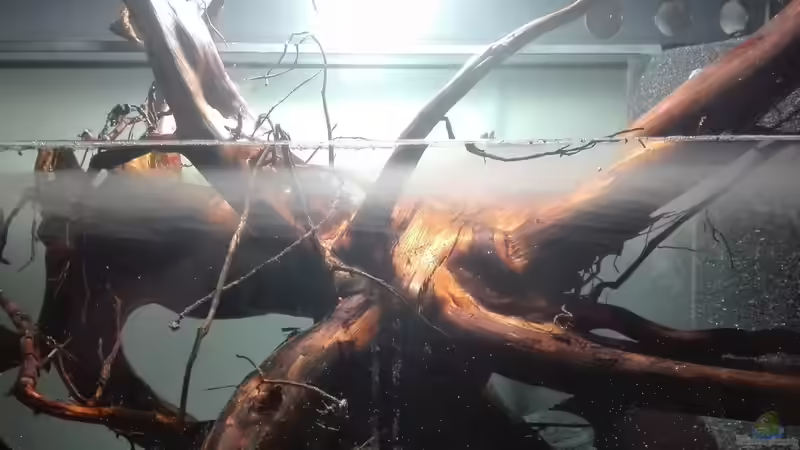 Wasser Befüllung von seb (19)