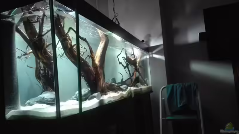 Wasser Befüllung von seb (20)