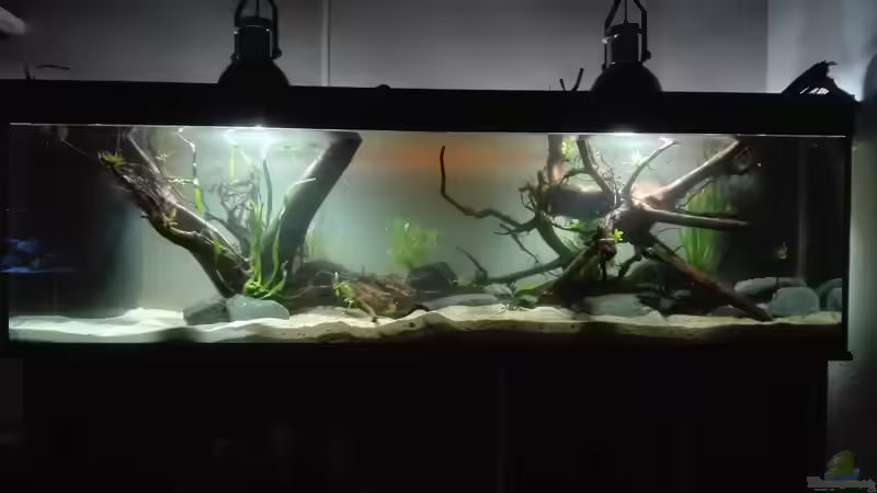 Wasser Befüllung von seb (21)