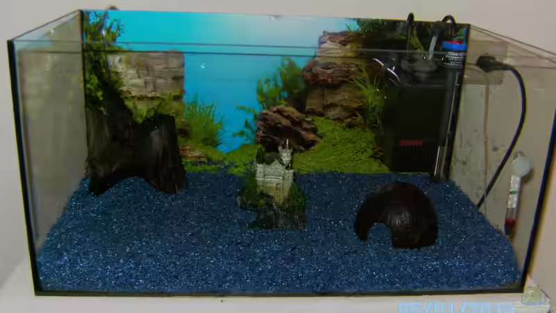 Wasser draussen, neues Kies rein! von DaVeyD (15)