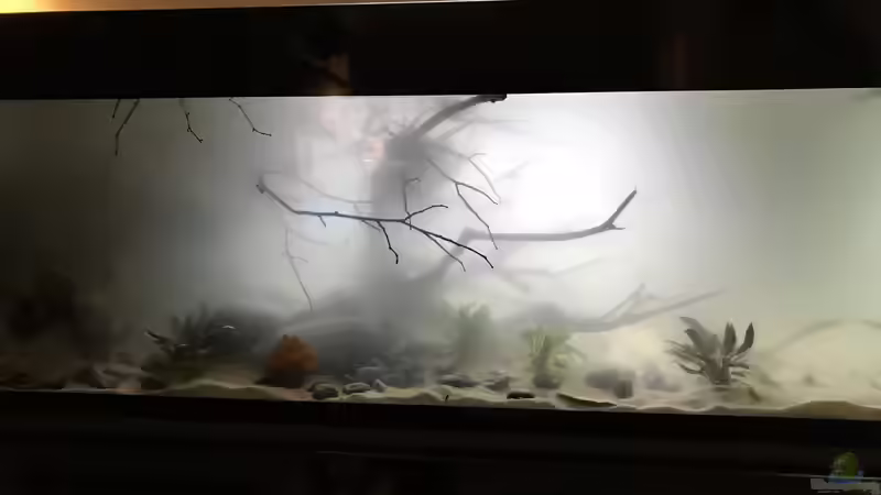 Wasser drin- Nebel da von NaMo (15)