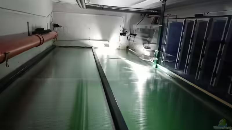 Wasser drin und läuft von kellerkind (50)