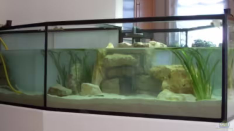 Wasser einfüllen von Mats (13)