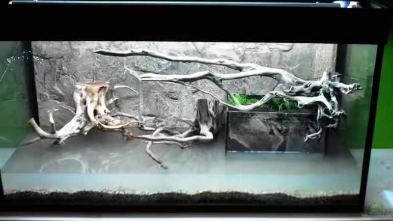 Wasser einfüllen von schnitzler (4)