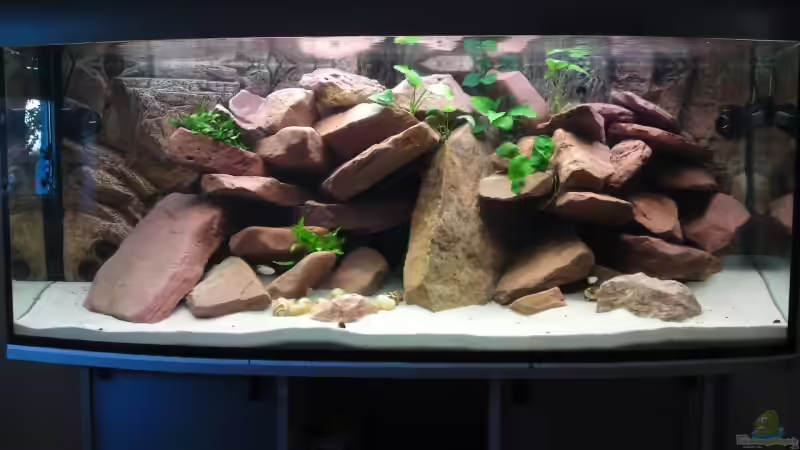 Wasser Glasklar am 23.08.09 von Debby & Daniel (7)