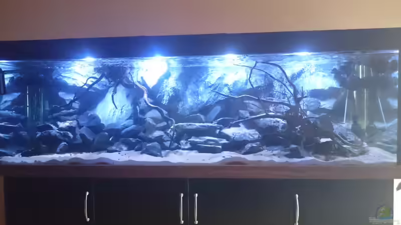 Wasser ist drin und die Technik wird in Betrieb genommen von Tobias Summerer (16)