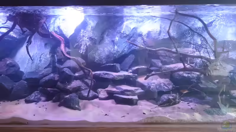 Wasser ist drin und die Technik wird in Betrieb genommen von Tobias Summerer (18)