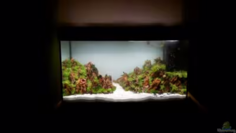 Wasser ist eingefüllt von Scaper (8)